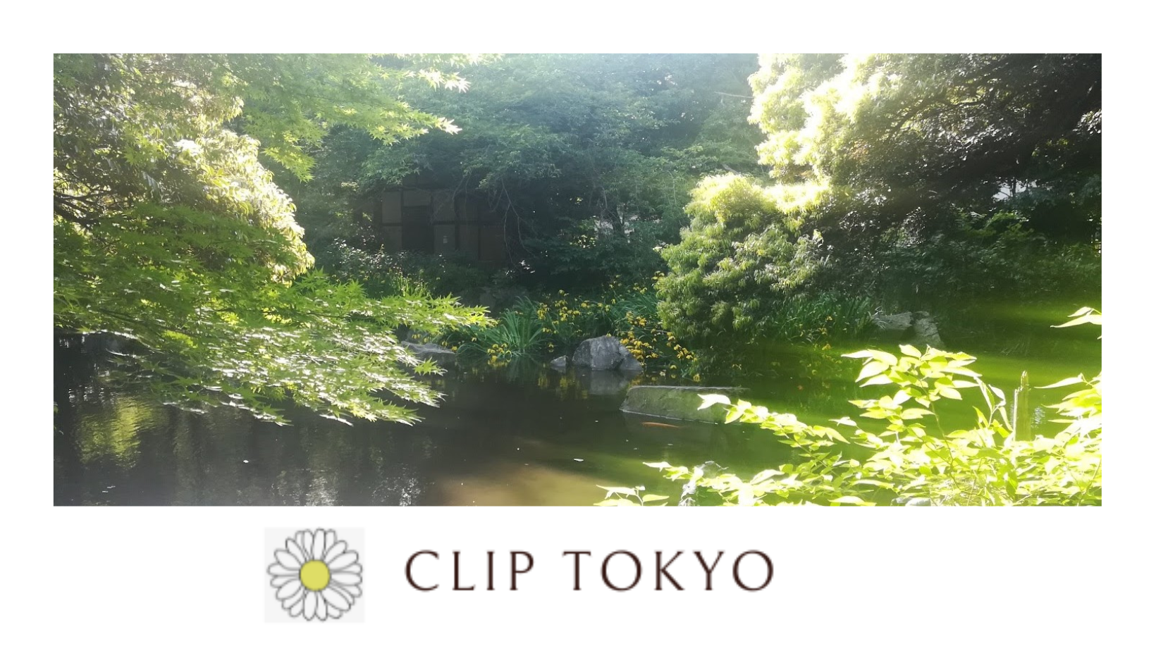 クリップ東京というブログのリンク付きカードです。ぜひご覧ください。